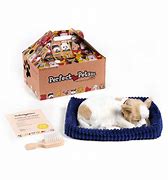 Perfect Petz Sweet Pete s Candy